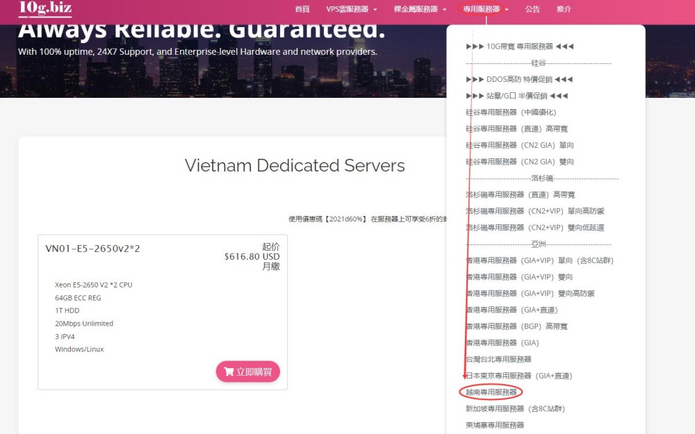 10gbiz越南服务器购买教程